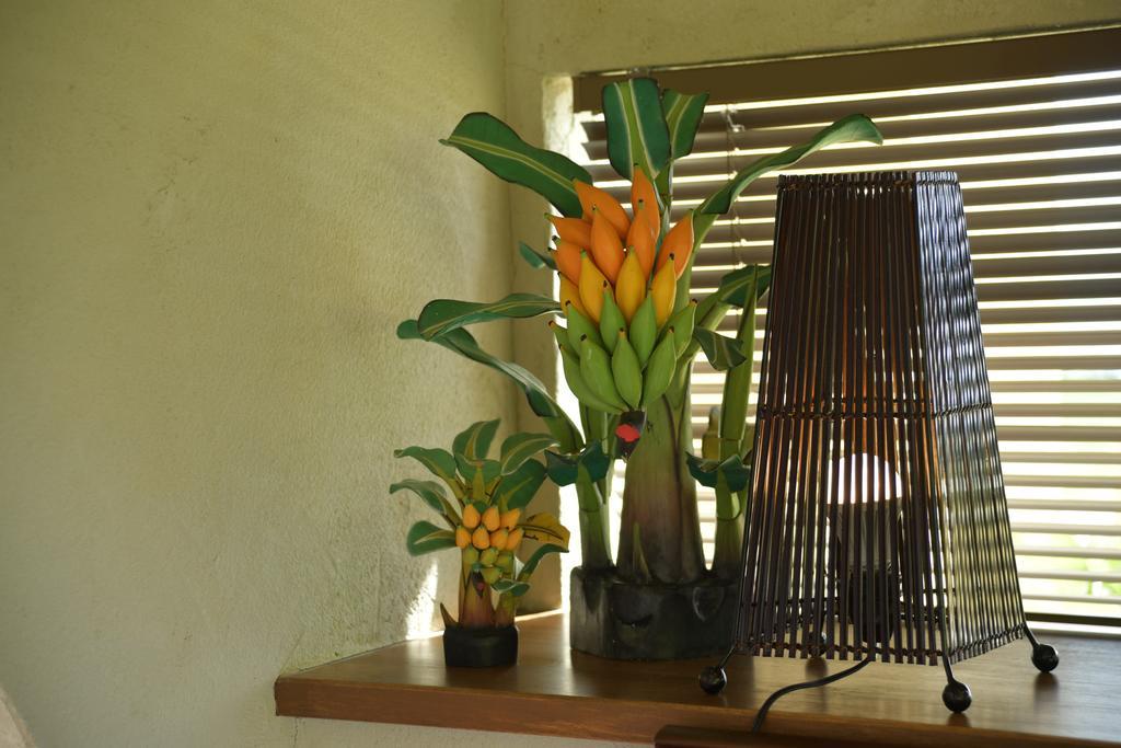 La Casita Kouri Villa Nakijin Exterior foto
